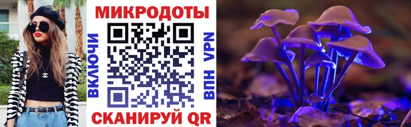 Галлюциногенные грибы MAGIC MUSHROOMS  даркнет как зайти  Торопец 