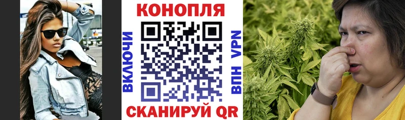 гидра ссылки  купить закладку  Торопец  Канабис конопля 